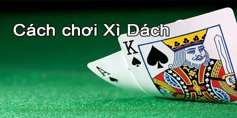 Luật Chơi xì dách - Kiến thức cho tân binh tham gia sòng bài online