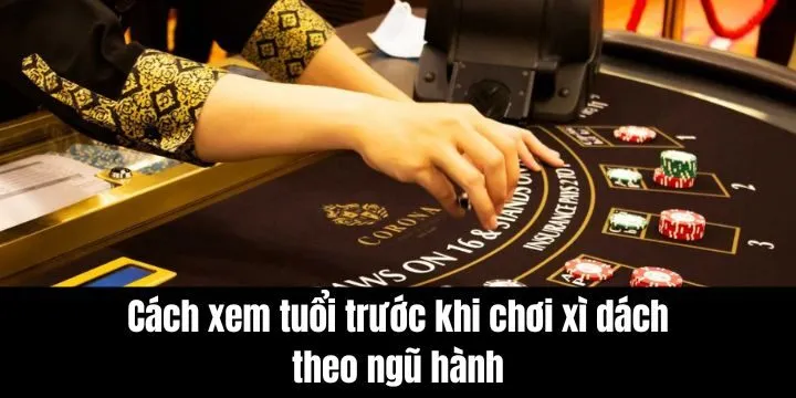 Dựa trên bản mệnh để đưa ra quyết định tham gia chính xác 