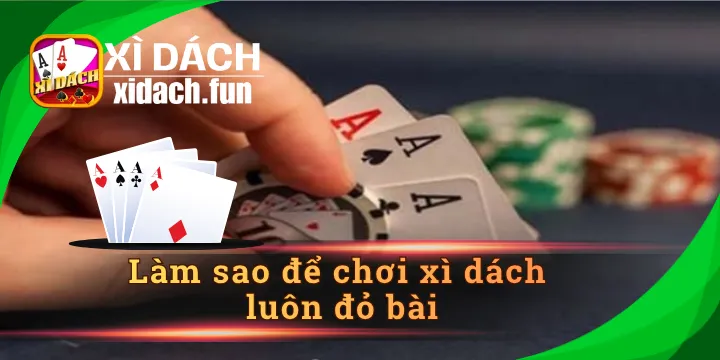 Làm sao để chơi xì dách luôn đỏ bài nhờ kiến thức chuyên gia?
